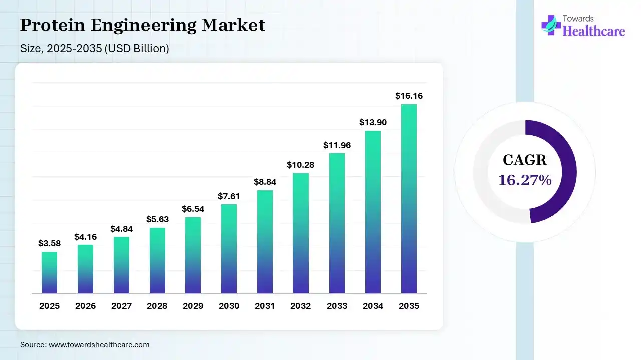 Protein Engineering Market Size 2025 - 2035 (USD Billion) Protein Engineering Market Size is USD 4.16 Billion in 2026.
