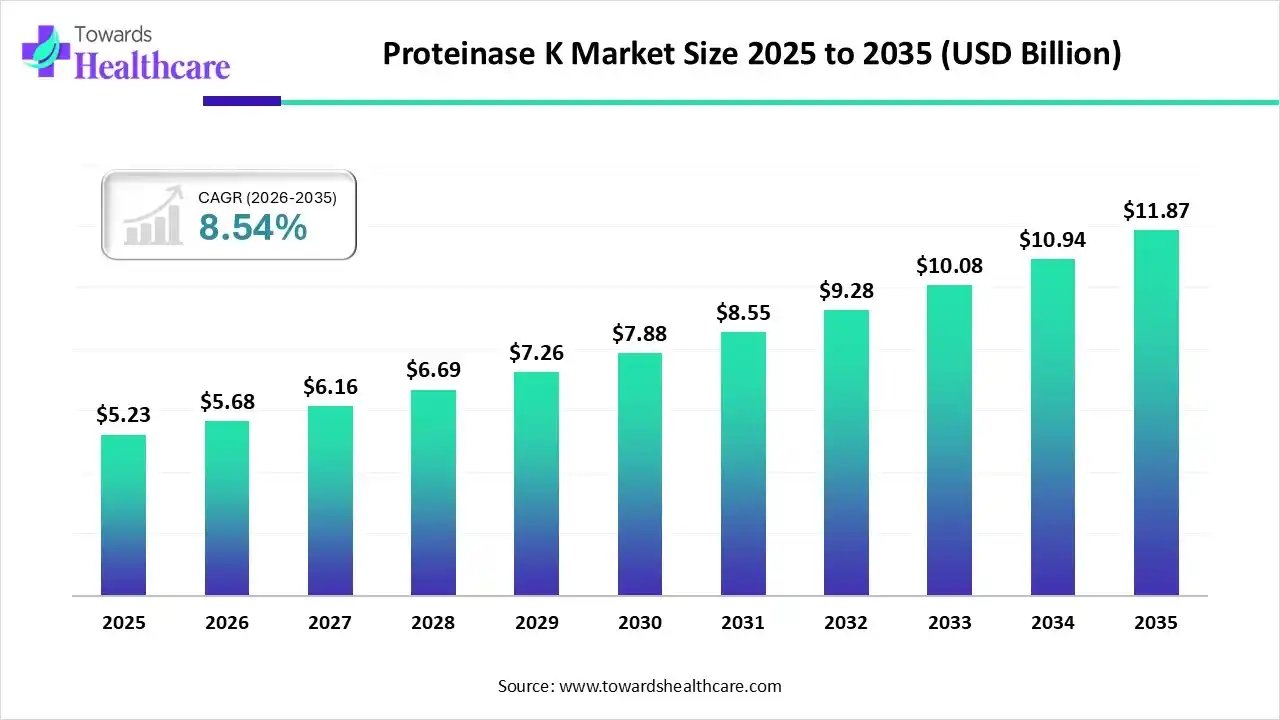 Proteinase K Market Size 2025 to 2035 Proteinase K Market Trends and Growth (2026)