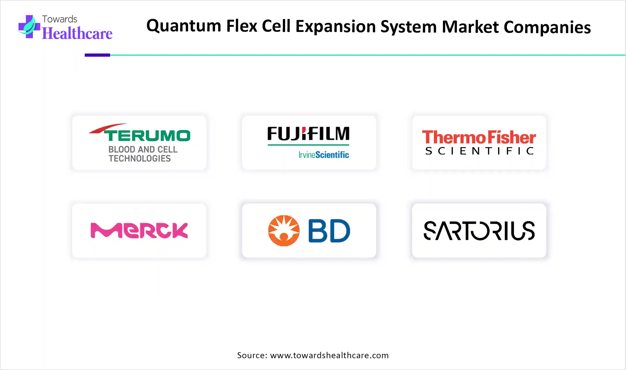 Quantum Flex Cell Expansion System Market Key Players