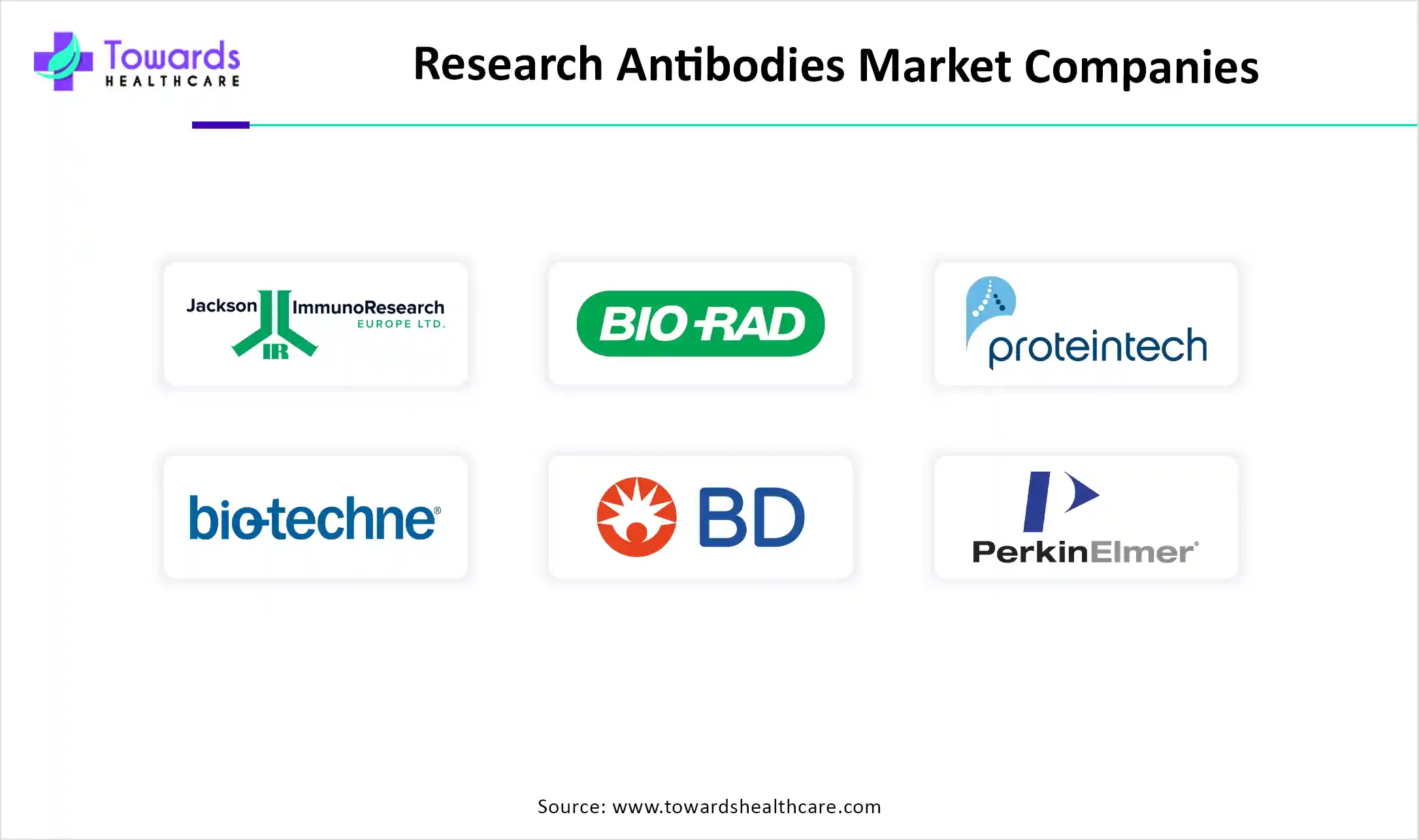 Research Antibodies Market Companies