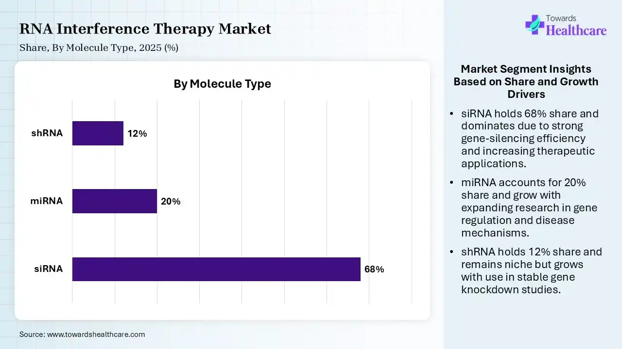 RNA Interference Therapy Market By Molecule Type, (siRNA) Segment Dominates by 68% in 2025.
