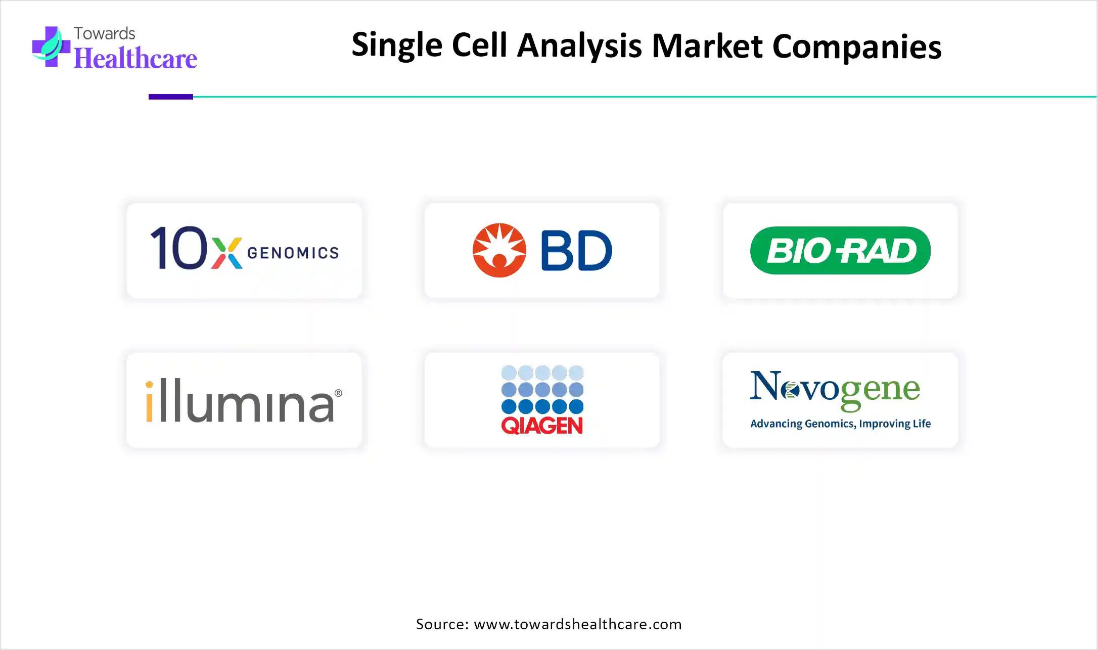 Single Cell Analysis Market Companies Single Cell Analysis Market Companies