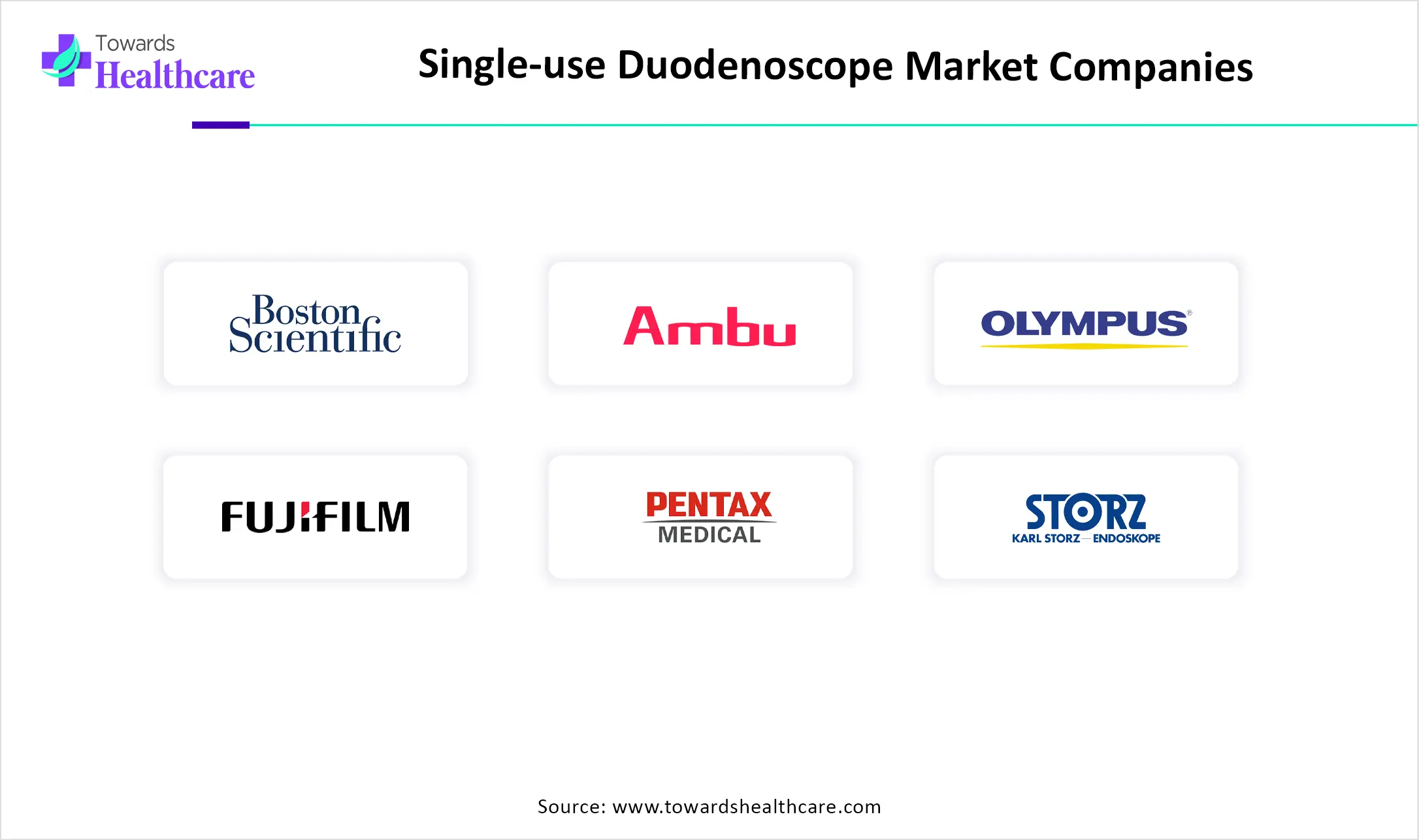 Single-use Duodenoscope Market Companies