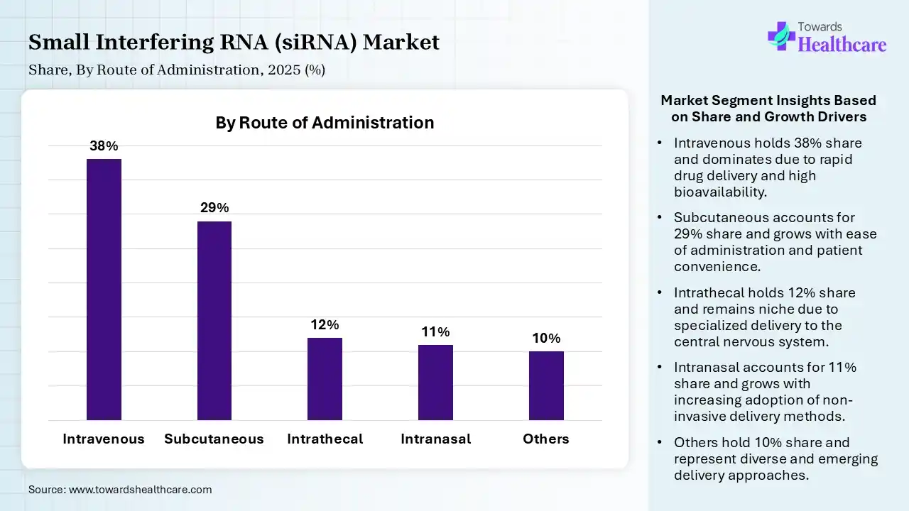 Small Interfering RNA (siRNA) Market Share, By Route of Administration, 2025 (%) Small Interfering RNA (siRNA) Market By Route of Administration, (Intravenous) Segment Dominates by 38% in 2025.