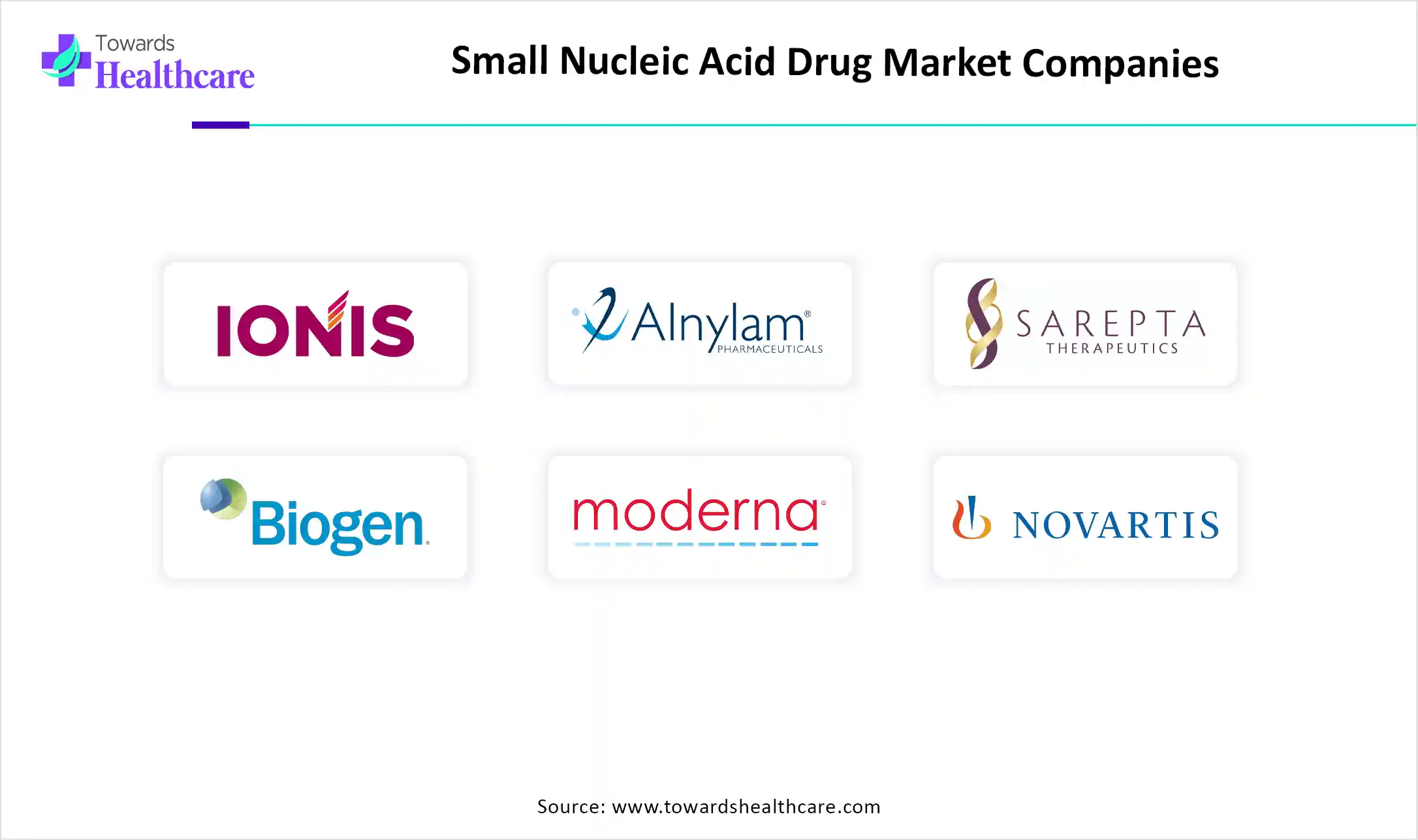 Small Nucleic Acid Drug Market Top Key Players Small Nucleic Acid Drug Market Companies