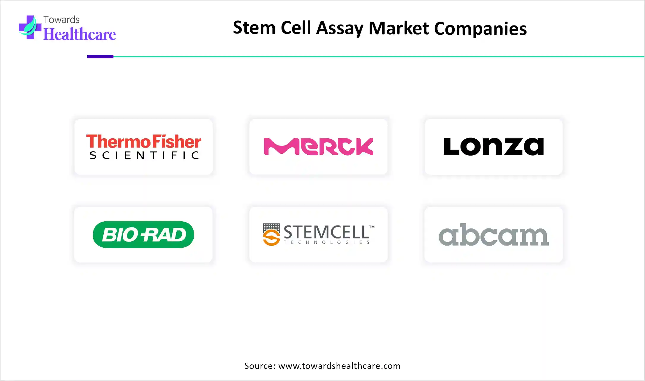 Stem Cell Assay Market Companies Stem Cell Assay Market Companies