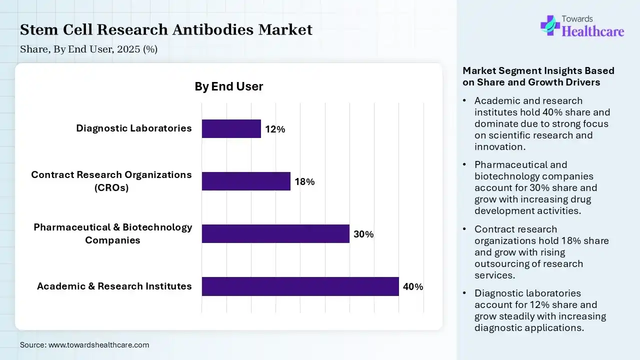 Stem Cell Research Antibodies Market Share, By End User, 2025 (%) Stem Cell Research Antibodies Market By End User, (Academic & Research Institutes) Segment Dominates by 40% in 2025.