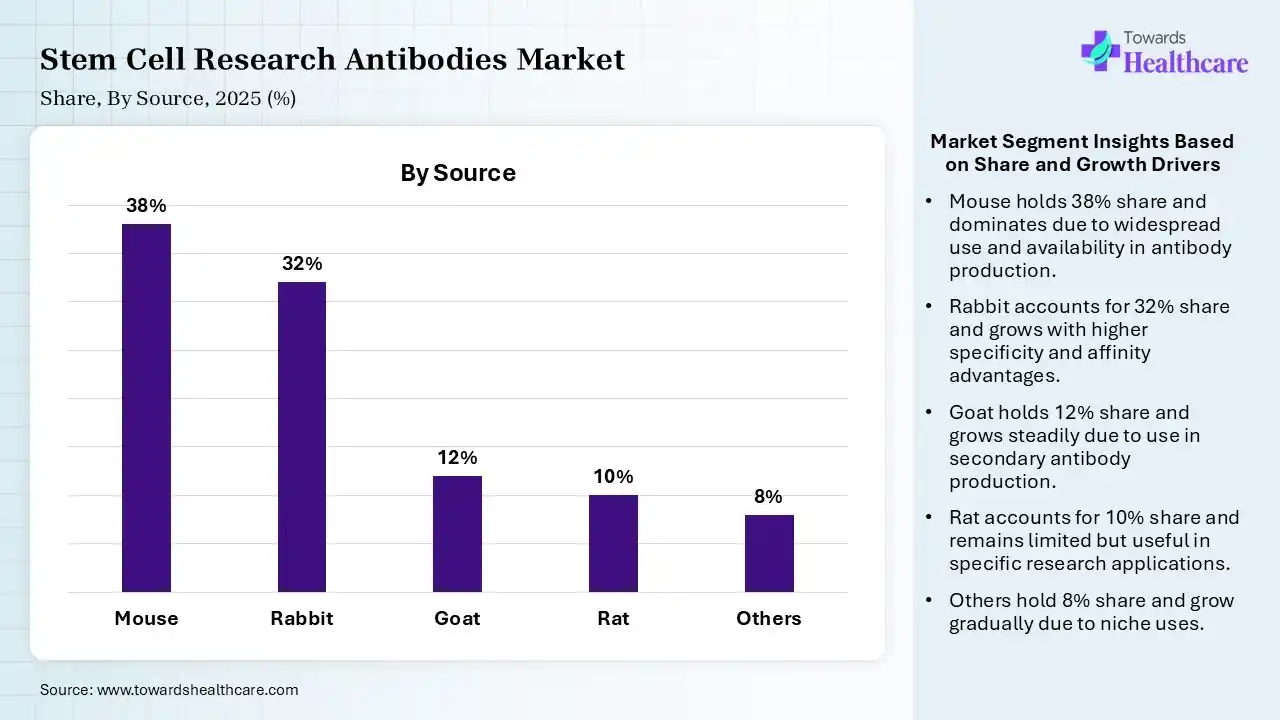 Stem Cell Research Antibodies Market Share, By Source, 2025 (%) Stem Cell Research Antibodies Market By Source, (Mouse) Segment Dominates by 38% in 2025.