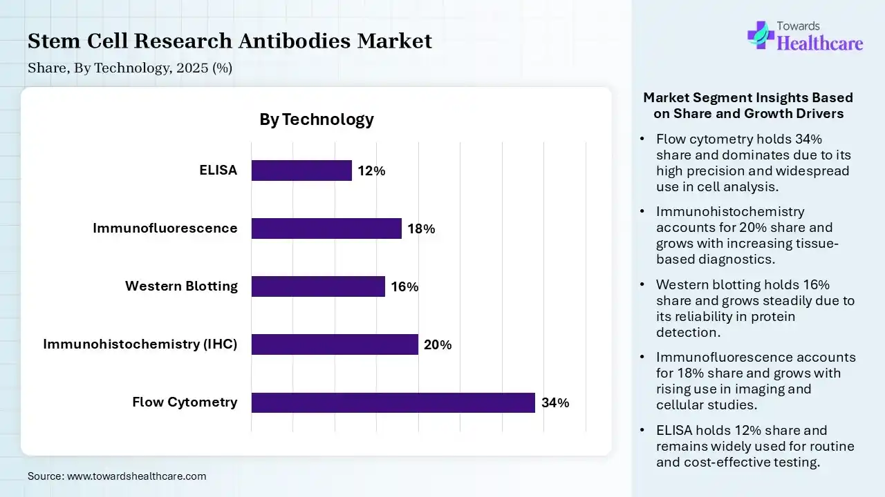 Stem Cell Research Antibodies Market Share, By Technology, 2025 (%) Stem Cell Research Antibodies Market By Technology, (Flow Cytometry) Segment Dominates by 34% in 2025.