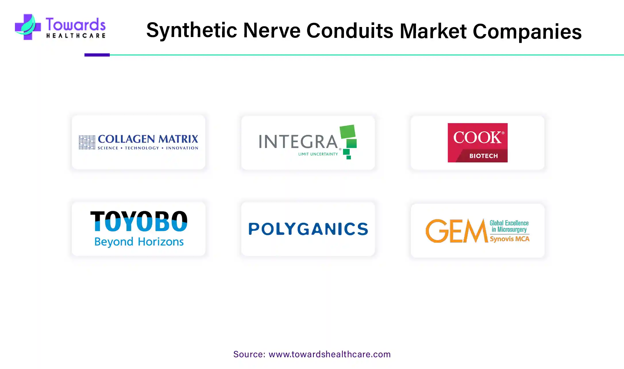 Synthetic Nerve Conduits Market Companies Synthetic Nerve Conduits Market Companies