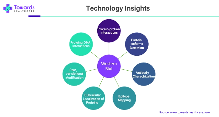 Technology Insights in Research Antibodies Market Technology Insights in Research Antibodies Market