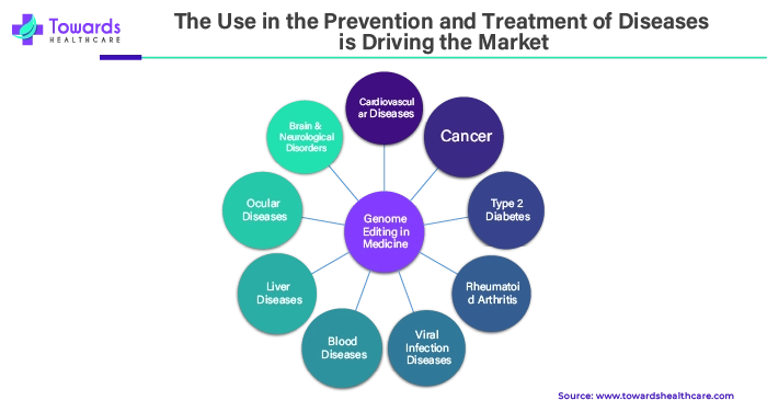The Use in the Prevention and Treatment of Diseases is Driving the Market The Use in the Prevention and Treatment of Diseases is Driving the Market
