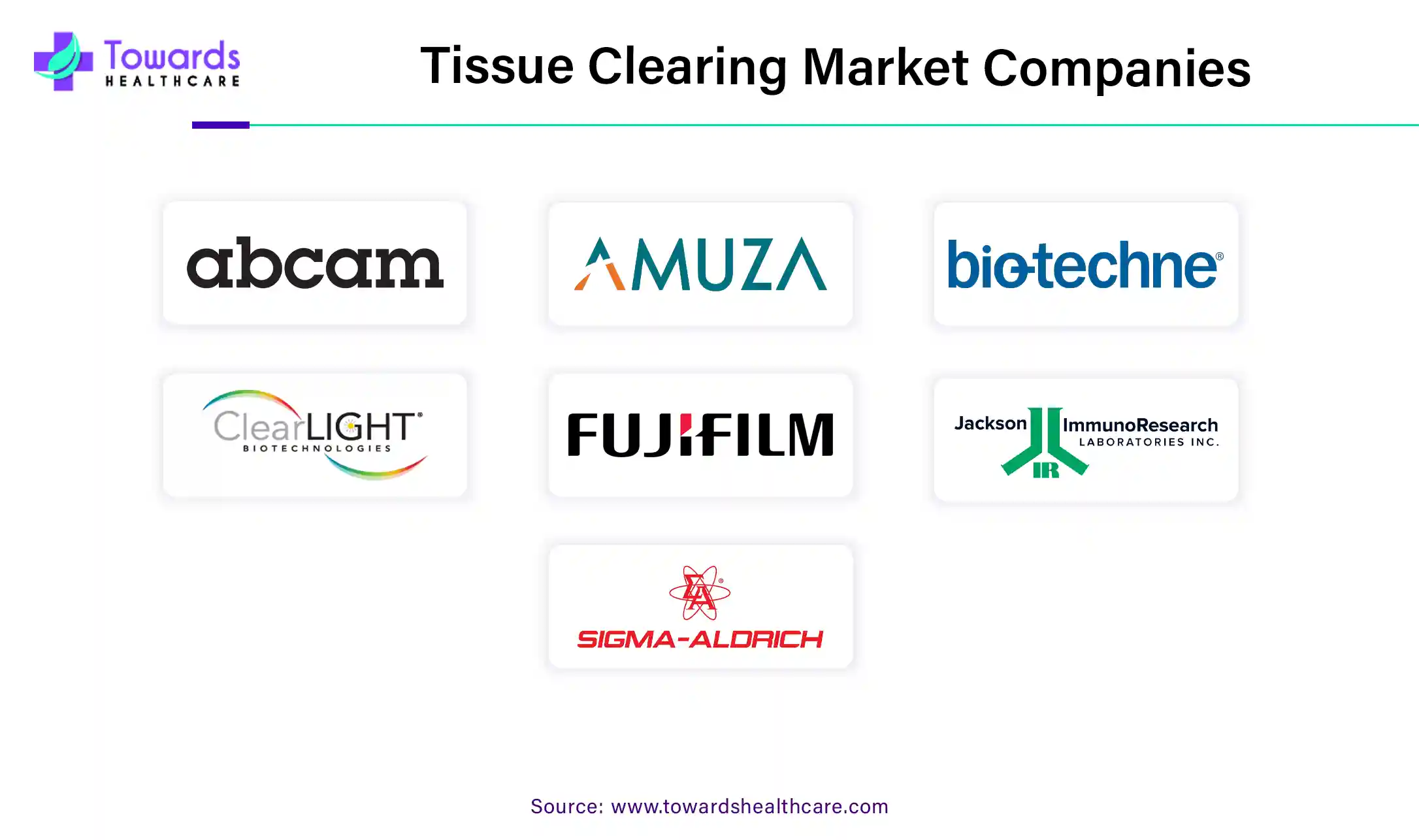 Tissue Clearing Market Companies Tissue Clearing Market Companies