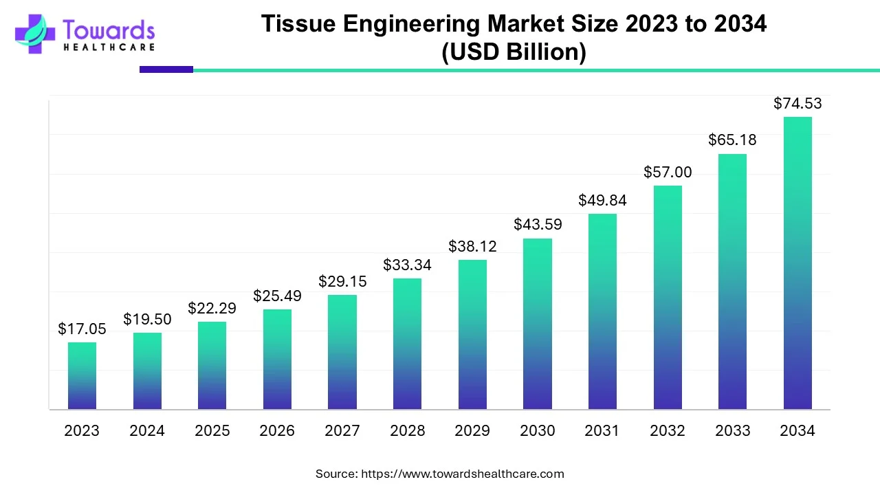 Tissue Engineering Market Size 2023 - 2034 Tissue Engineering Market Size 2023 - 2034
