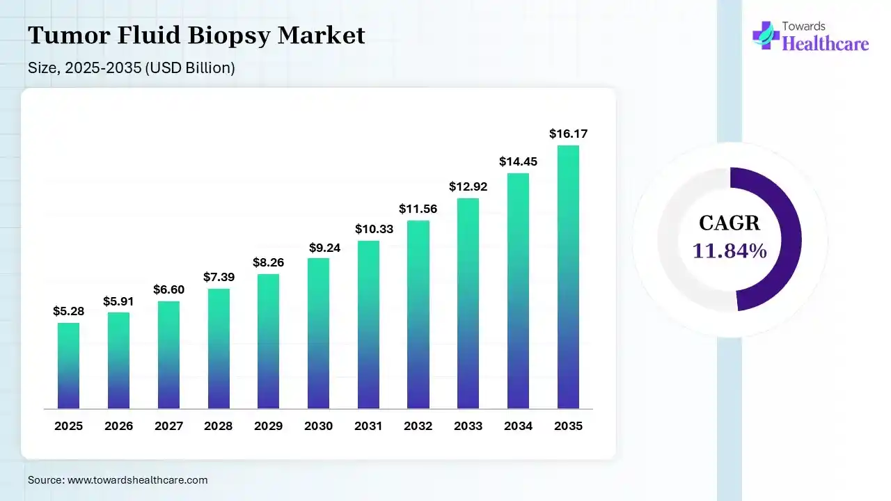 Tumor Fluid Biopsy Market Size is USD 5.91 Billion in 2026.