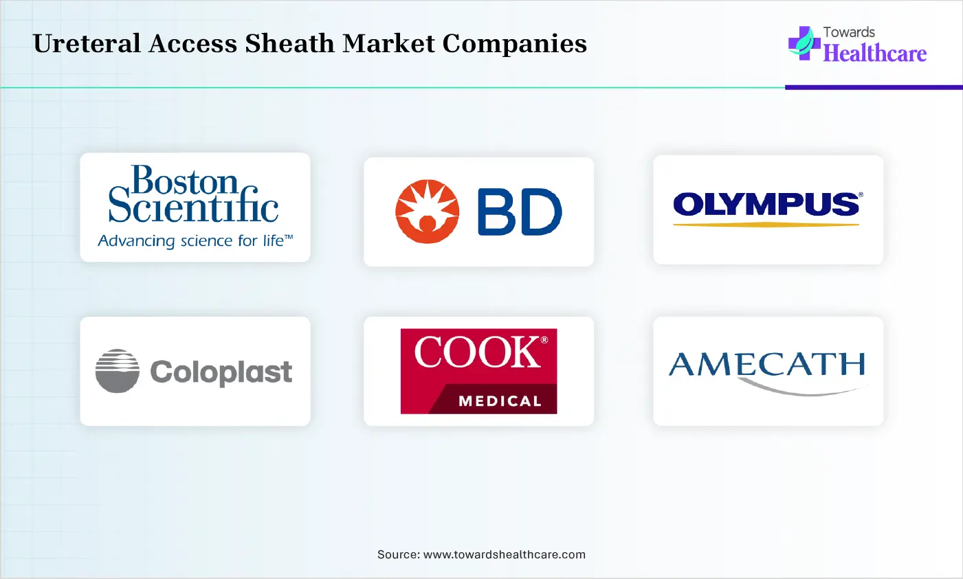 Ureteral Access Sheath Market Comapnies are
