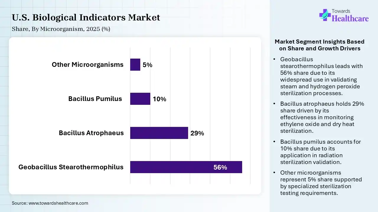 U.S. Biological Indicators Market Share, By Microorganism, 2025 (%) U.S. Biological Indicators Market By Microorganism, (Geobacillus Stearothermophilus) Segment Dominates by 56% in 2025.