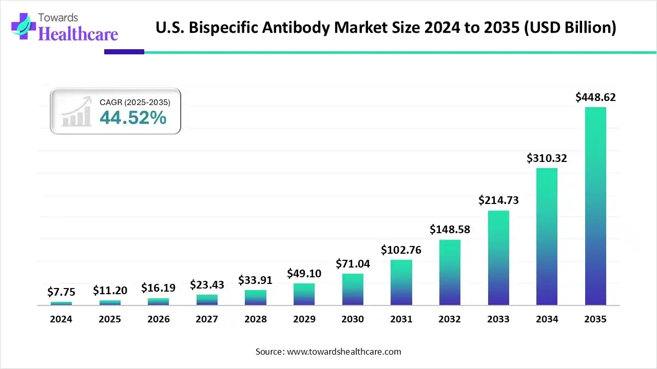 U.S. Bispecific Antibody Market Size 2024 to 2035