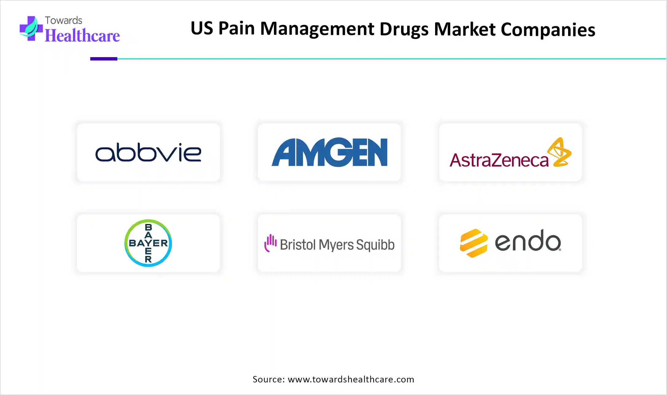 US Pain Management Drugs Market Top Key Players US Pain Management Drugs Market Companies
