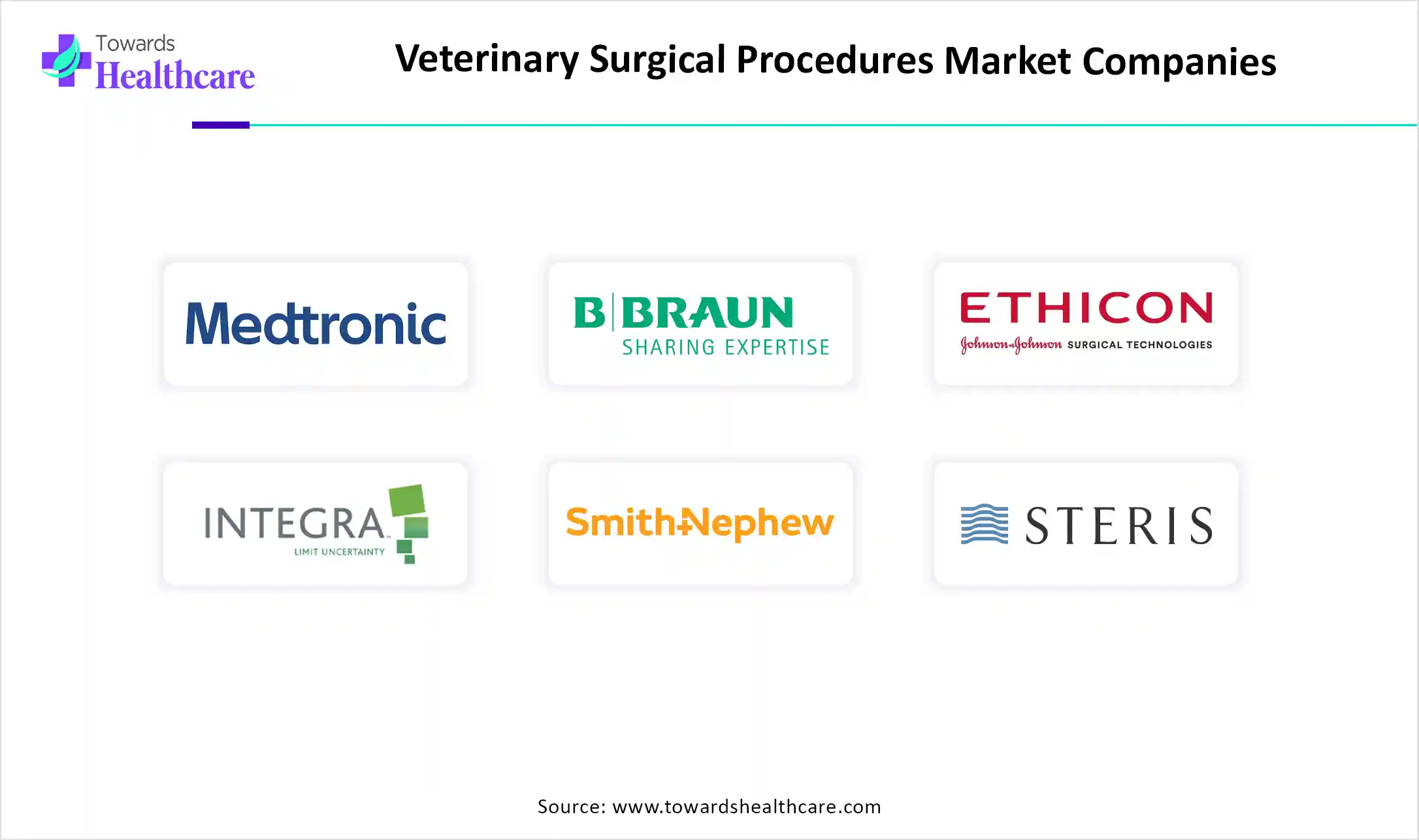 Veterinary Surgical Procedures Market Companies Veterinary Surgical Procedures Market Key Players