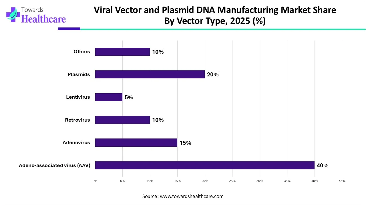 Viral Vector and Plasmid DNA Manufacturing Market Share By Vector Type, 2025 (%) Viral Vector and Plasmid DNA Manufacturing Market Share By Vector Type, 2025 (%)