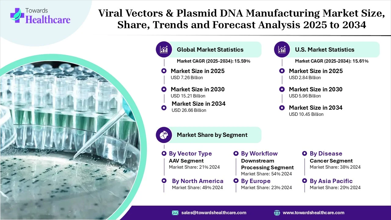 Viral Vectors & Plasmid DNA Manufacturing Market Statistics Viral Vectors & Plasmid DNA Manufacturing Market Statistics