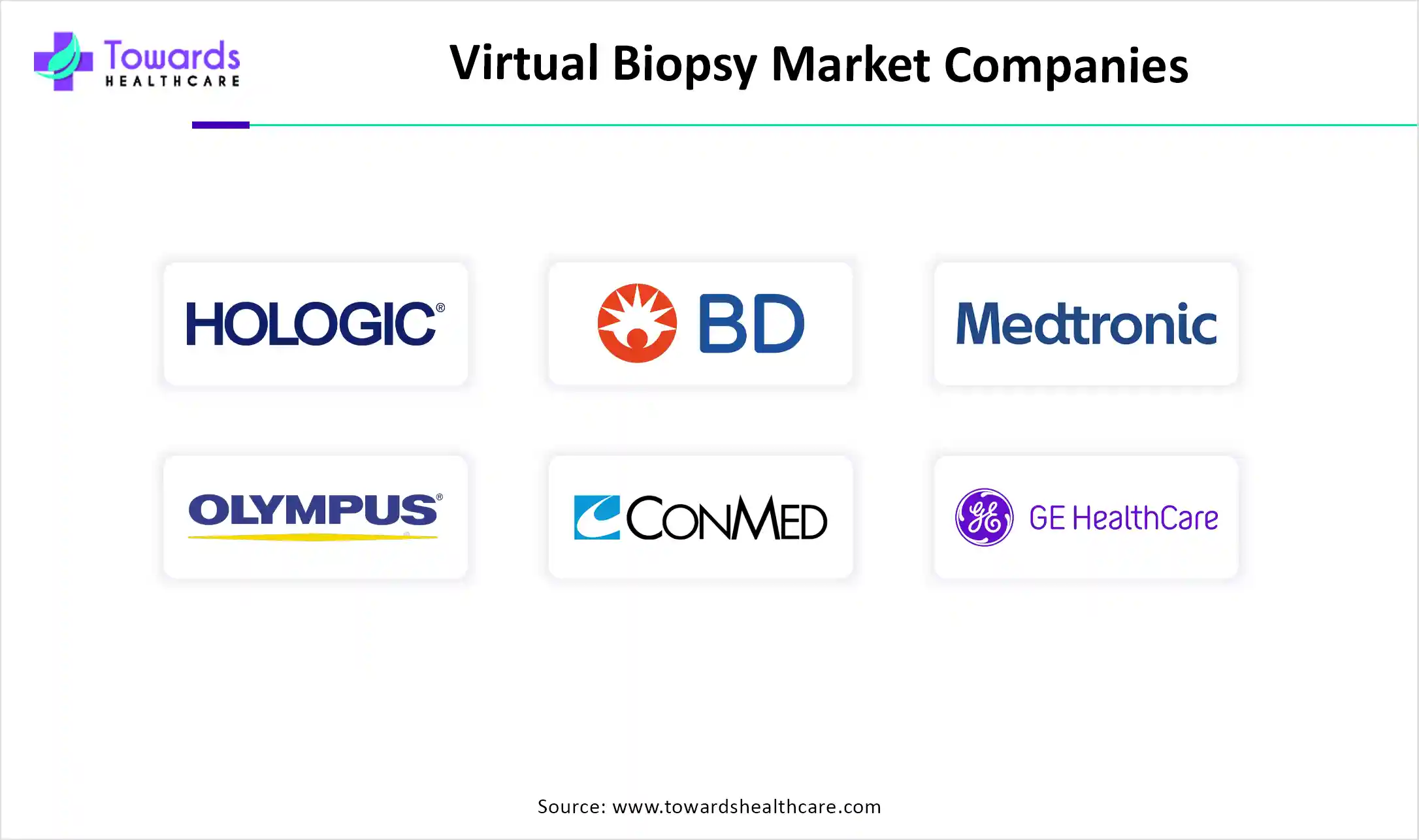 Virtual Biopsy Market Companies Virtual Biopsy Market Companies