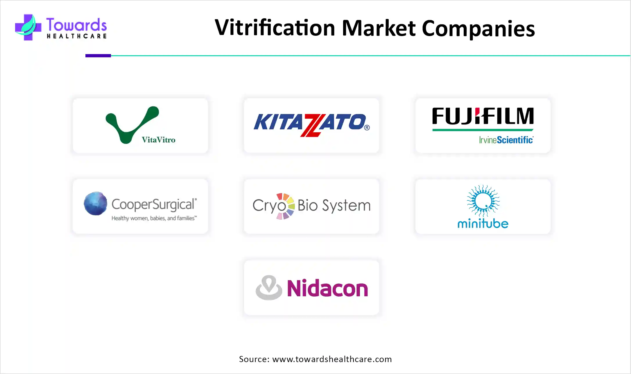 Vitrification Market Companies Vitrification Market Companies