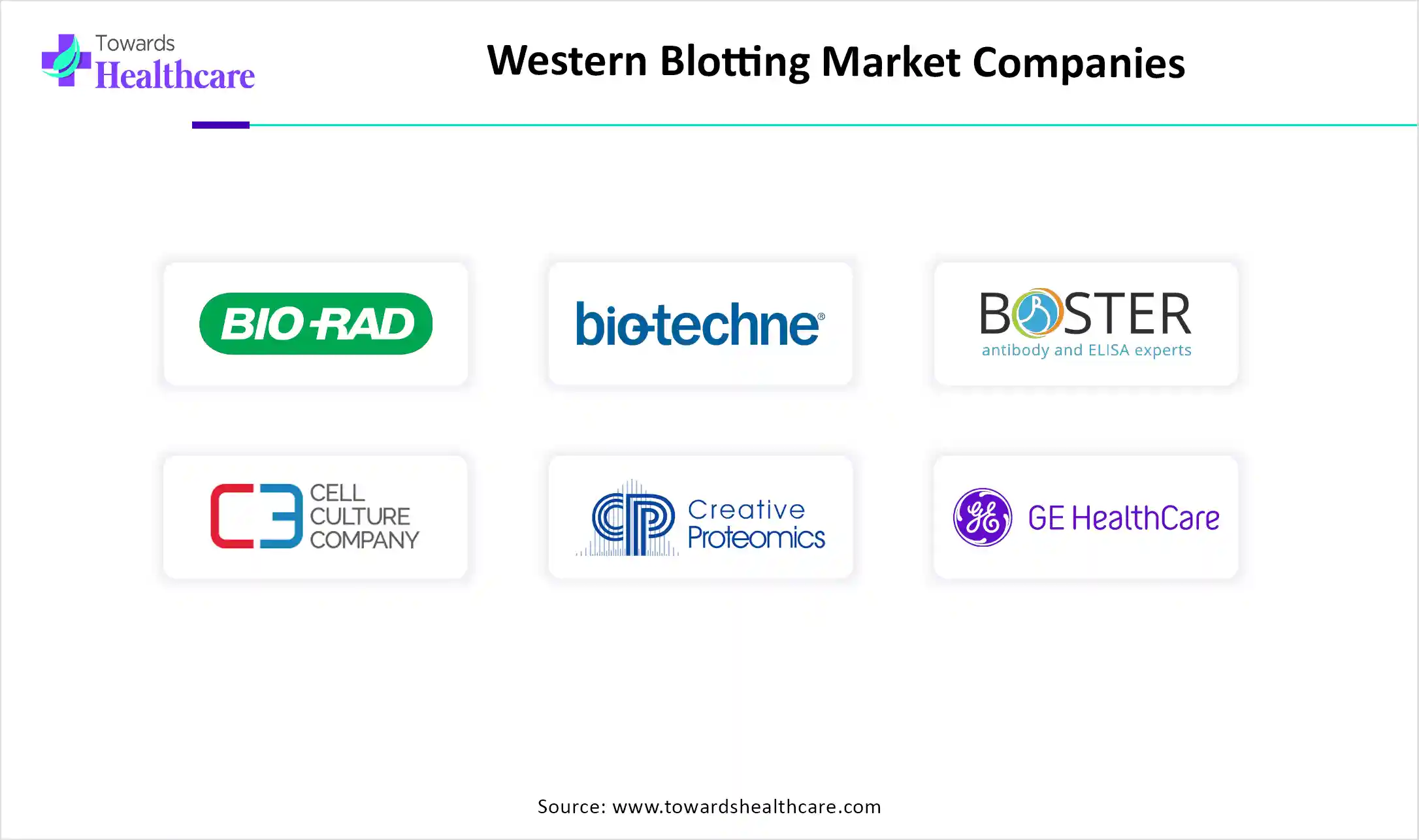 Western Blotting Market Companies Western Blotting Market Companies